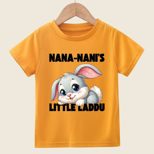 NANA-NANI'S LITTLE LADDU